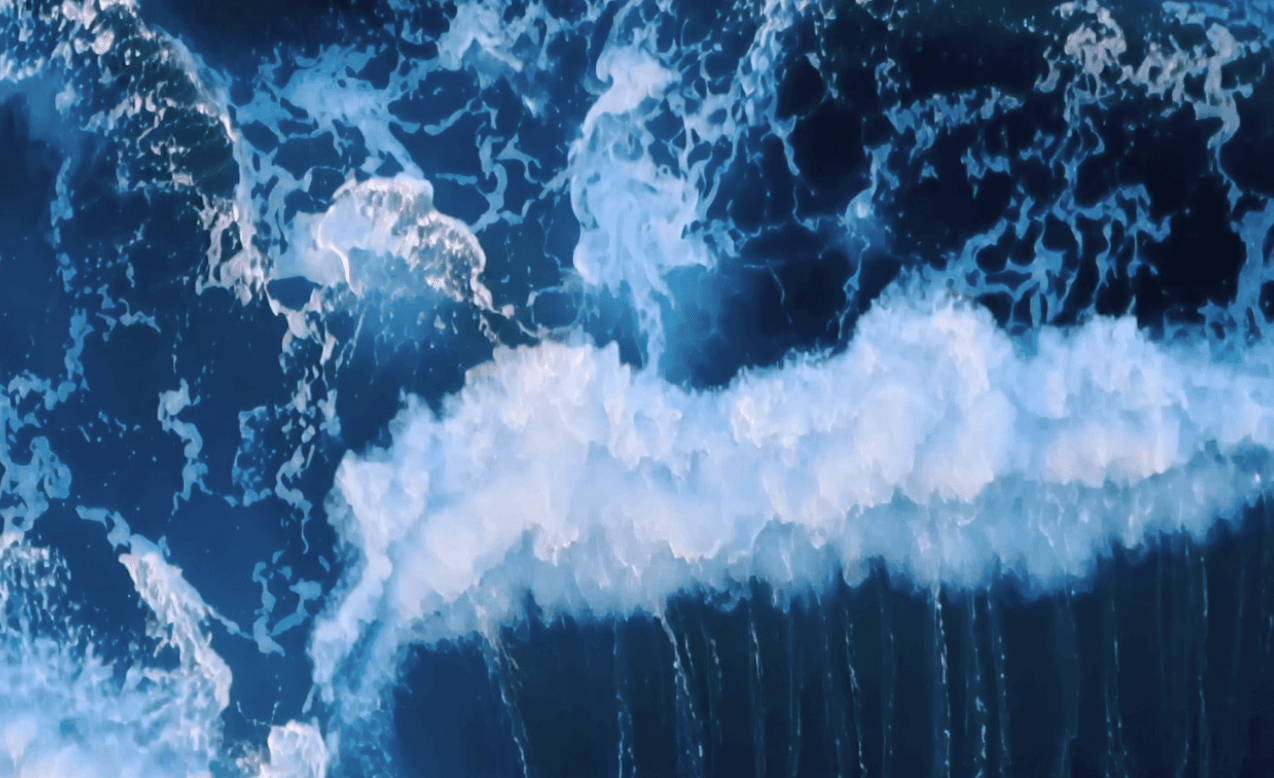 대구 북구청 미디어아트 3편 및 패널 영상 납품 2